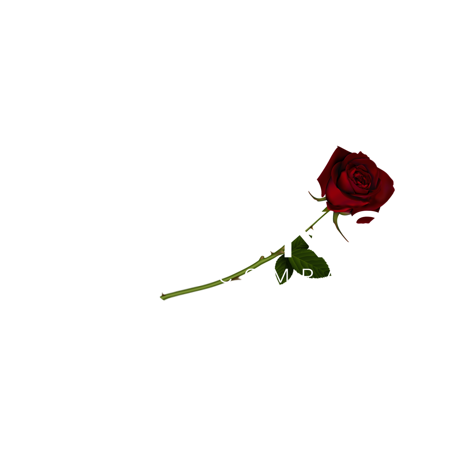 Darks logo png