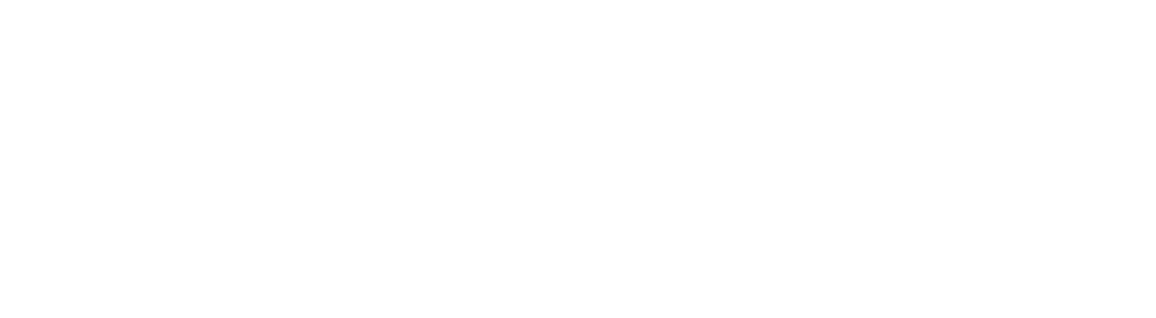 SKILLBOX-WHITE
